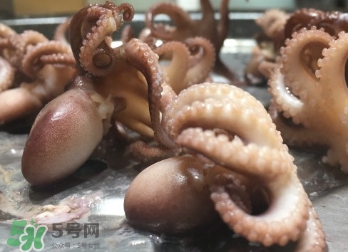 八爪鱼怎么做好吃 家常做法视频,八爪鱼怎么做好吃 家常做法