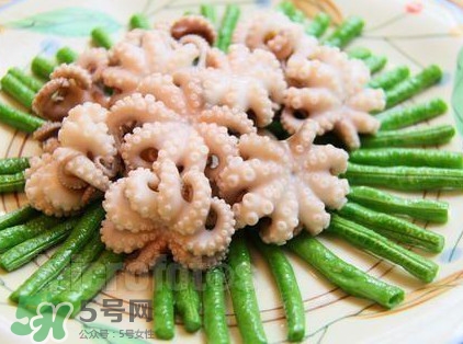 八爪鱼头里面的东西能吃吗,八爪鱼头怎么吃