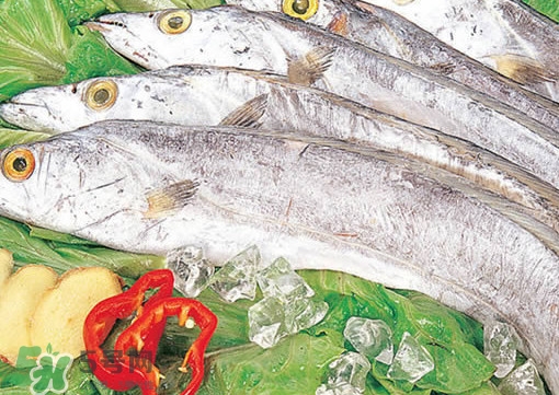 哪种带鱼好吃,带鱼是咸的吗要放盐吗