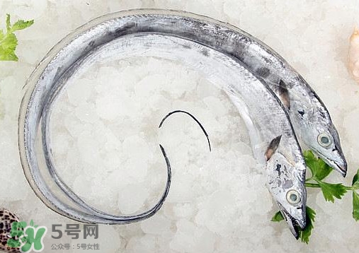 深海带鱼图片,什么鱼是深海鱼