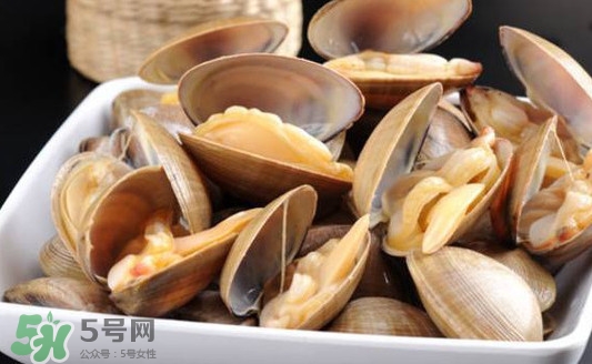 丹东黄蚬子多少钱一斤,大连黄蚬子多少钱一斤