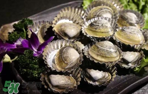 蚬子去沙方法,蚬子怎么吐沙子干净快 蚬子去沙方法,蚬子怎么吐沙子干净快