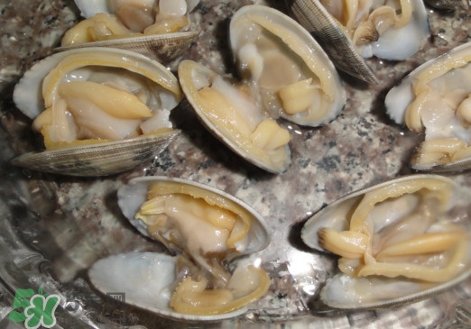 蚬子死了还能吃吗,蚬子死了还能吃吗没放冰箱