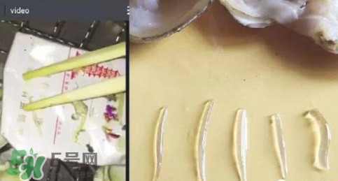 蚬子肉里面白色的一条是什么,蚬子肉里有透明长条