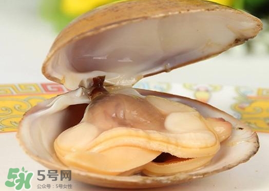 海鲜黄蚬子怎么读,蚬子怎么读?