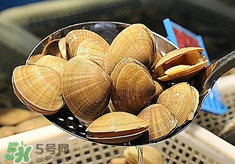 黄蚬子和花蚬子哪种好,白蚬子和花蚬子哪种好