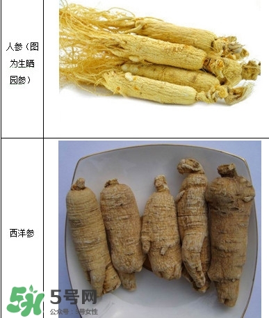 西洋参怎么吃效果最好,西洋参怎么吃效果最好 教你五种最佳方法 西洋参怎么吃效果最好,西洋参怎么吃效果最好 教你五种最佳方法