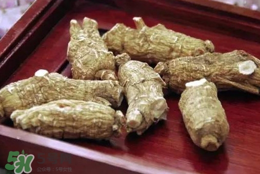 西洋参补肾壮阳吗,西洋参对肾虚有帮助吗