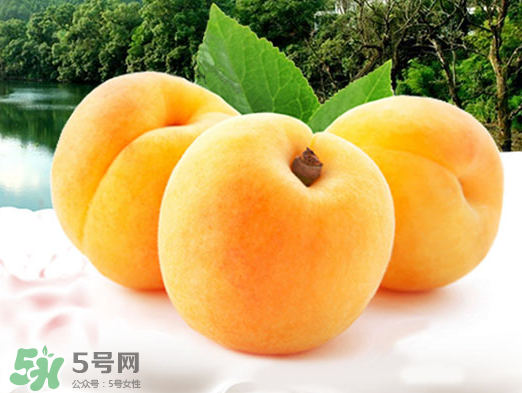 黄桃是酸性还是碱性食物,黄桃是酸性还是碱性水果