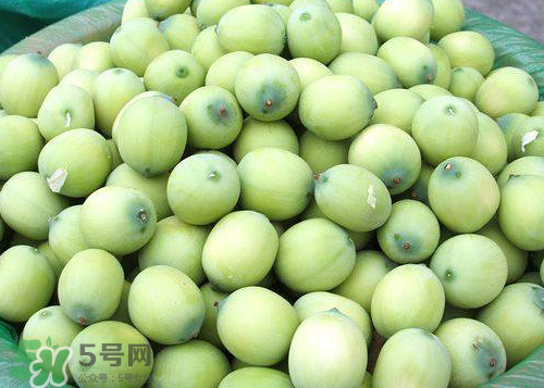 莲蓬可以泡水喝吗,莲蓬泡水喝有什么功效