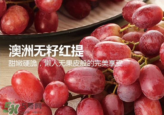 无籽红提孕妇能吃吗,无籽红提孕妇可以吃吗