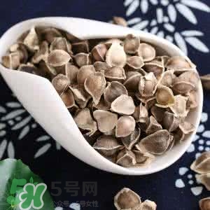 百度辣木籽的功效,辣木籽的禁忌人群