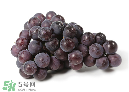 巨峰葡萄和夏黑葡萄哪个好吃,夏黑葡萄和巨峰区别