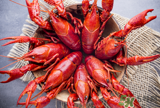 龙虾怎么挑选,怎样的小龙虾