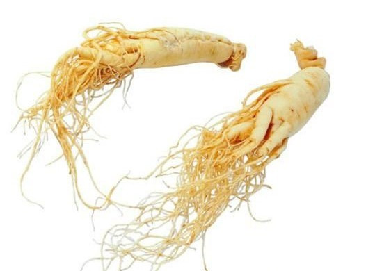 黑枸杞和西洋参泡水喝,黑枸杞能和西洋参一起泡水喝吗