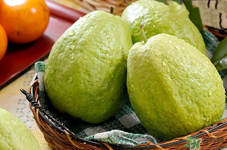 虾可不可以和番石榴一起吃,虾可以和石榴一起吃吗? 虾可不可以和番石榴一起吃,虾可以和石榴一起吃吗?