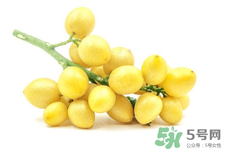 山黄皮焖鸭做法大全,黄焖鸭的正宗做法 山黄皮焖鸭做法大全,黄焖鸭的正宗做法