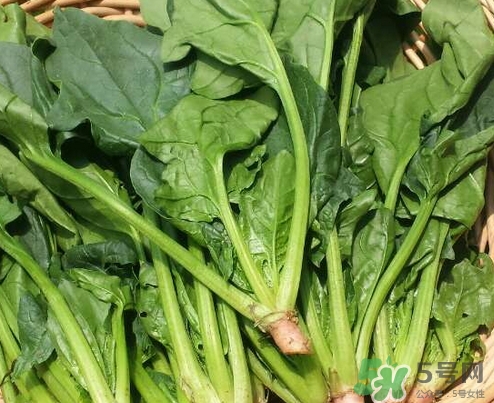 夏天可以吃什么食物,吃什么可以增加食欲 夏天可以吃什么食物,吃什么可以增加食欲