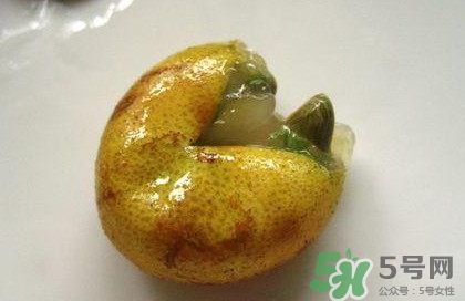 黄皮果核的功效和作用及禁忌,黄皮果核功效