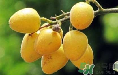 黄桃和香蕉可以一起吃吗,香蕉和黄柿子能一起吃吗