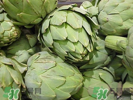 洋蓟是什么东西怎么吃,洋蓟是什么东西