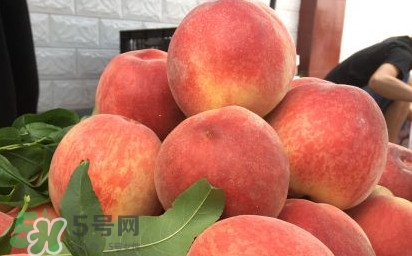 脆桃和软桃哪个好吃,哪个品种的脆桃最好吃