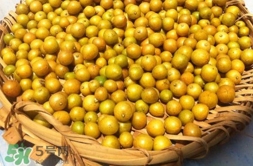 黄皮小金桔,黄皮金桔和绿皮金桔的区别