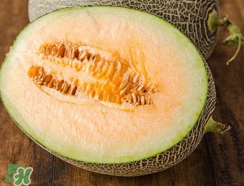 西州蜜瓜多少钱一斤上市季节,西州蜜瓜图片