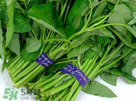 通心菜有什么功效和作用,通心菜的副作用