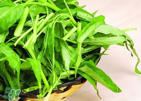 通心菜不能和哪些食物一起吃,菜心不可以和什么一起吃