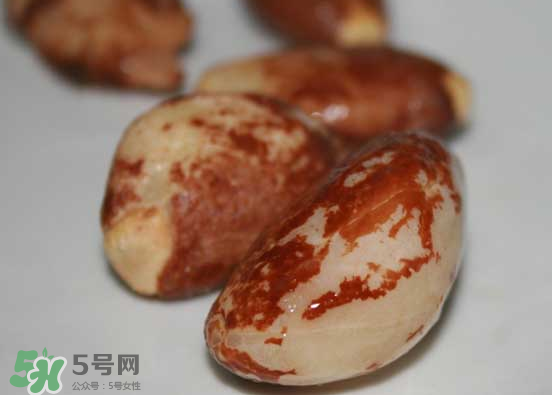 榴莲核可以煲汤吗,榴莲核可以煲汤吗?榴莲核可以煲鸡汤吗?