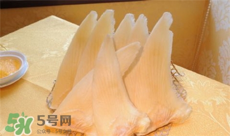 鱼翅干货图片,鱼翅是什么鱼的哪个部位