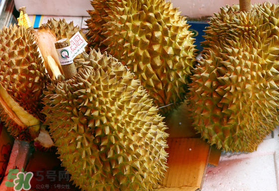 托曼尼榴莲介绍,印尼榴莲什么时候成熟 托曼尼榴莲介绍,印尼榴莲什么时候成熟