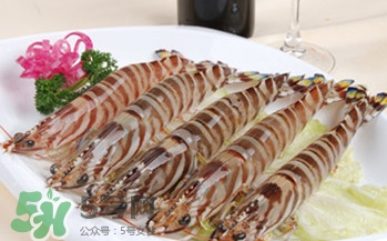 九节虾市场价多少钱一斤,九节虾多少钱一斤