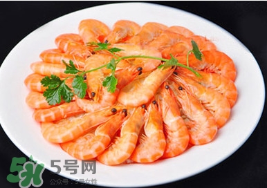 基围虾竹节虾怎么区分,竹节虾和基围虾的区别竹节虾的介绍 基围虾竹节虾怎么区分,竹节虾和基围虾的区别竹节虾的介绍