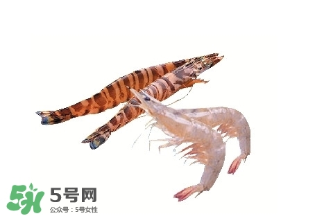 竹节虾多少钱一斤2020,斑节虾多少钱一斤