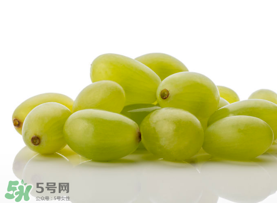 青提是转基因吗,无籽青提是转基因吗