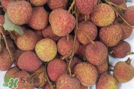 黑叶荔枝有什么特点,如何从叶子辨别荔枝品种