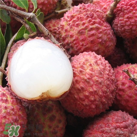 荔枝和桂圆味道一样吗,无核荔枝好吃吗