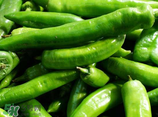 新鲜辣椒可以放冰箱吗,辣椒怎么保存
