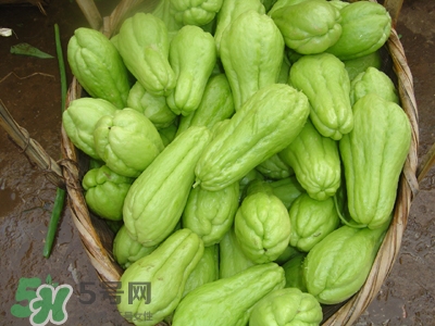 佛手瓜是凉性的还是热性的,佛手瓜是凉性的吗