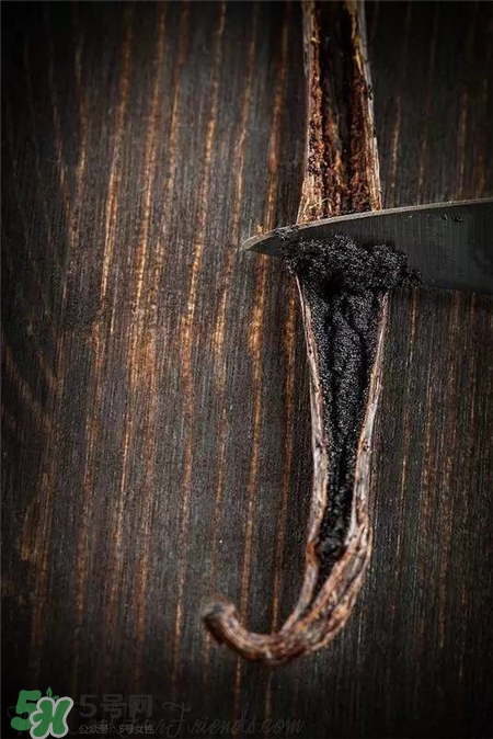 香草荚和香草精味道一样吗,香草荚 香草精