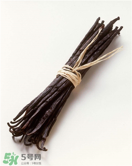 香草荚是什么东西,香草荚是什么植物 香草荚是什么东西,香草荚是什么植物