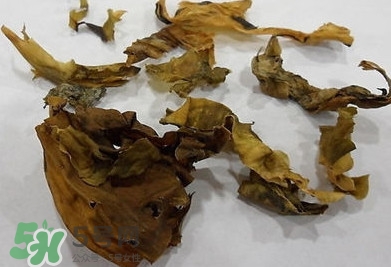 昆布是什么东西,昆布是什么食材