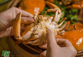 七月份有螃蟹吗?,六月的螃蟹