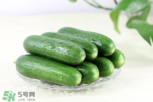 水果黄瓜常温可以放多久,水果黄瓜怎么保存时间长新鲜 水果黄瓜常温可以放多久,水果黄瓜怎么保存时间长新鲜