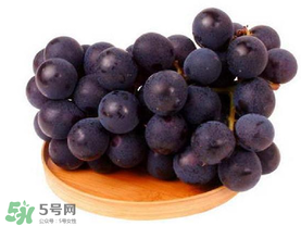 东北巨峰葡萄什么时候成熟,巨峰葡萄什么时候成熟