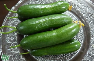 水果黄瓜是不是转基因,水果黄瓜是转基因食品吗