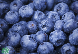 蓝莓是什么样子的,蓝莓干是什么样子