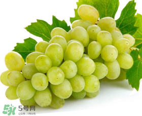 青提为什么酸,青提是什么味道 青提为什么酸,青提是什么味道